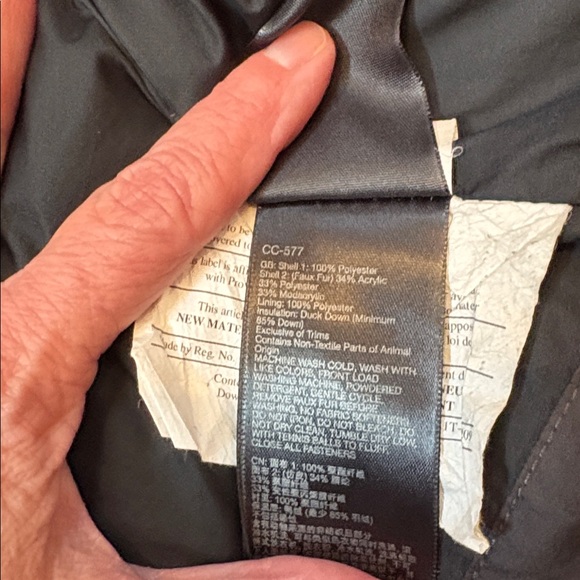 • Marmot• - Picture 6 of 10